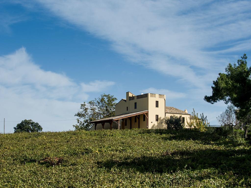 Masseria Del Vino Loreto Aprutino Dış mekan fotoğraf