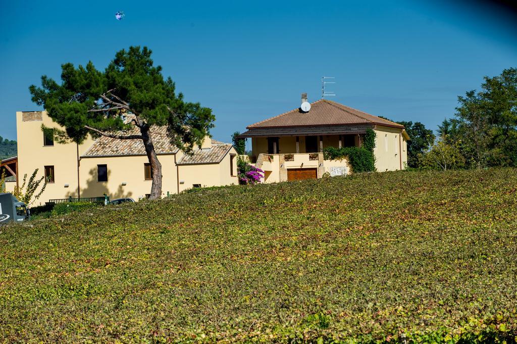 Masseria Del Vino Loreto Aprutino Dış mekan fotoğraf