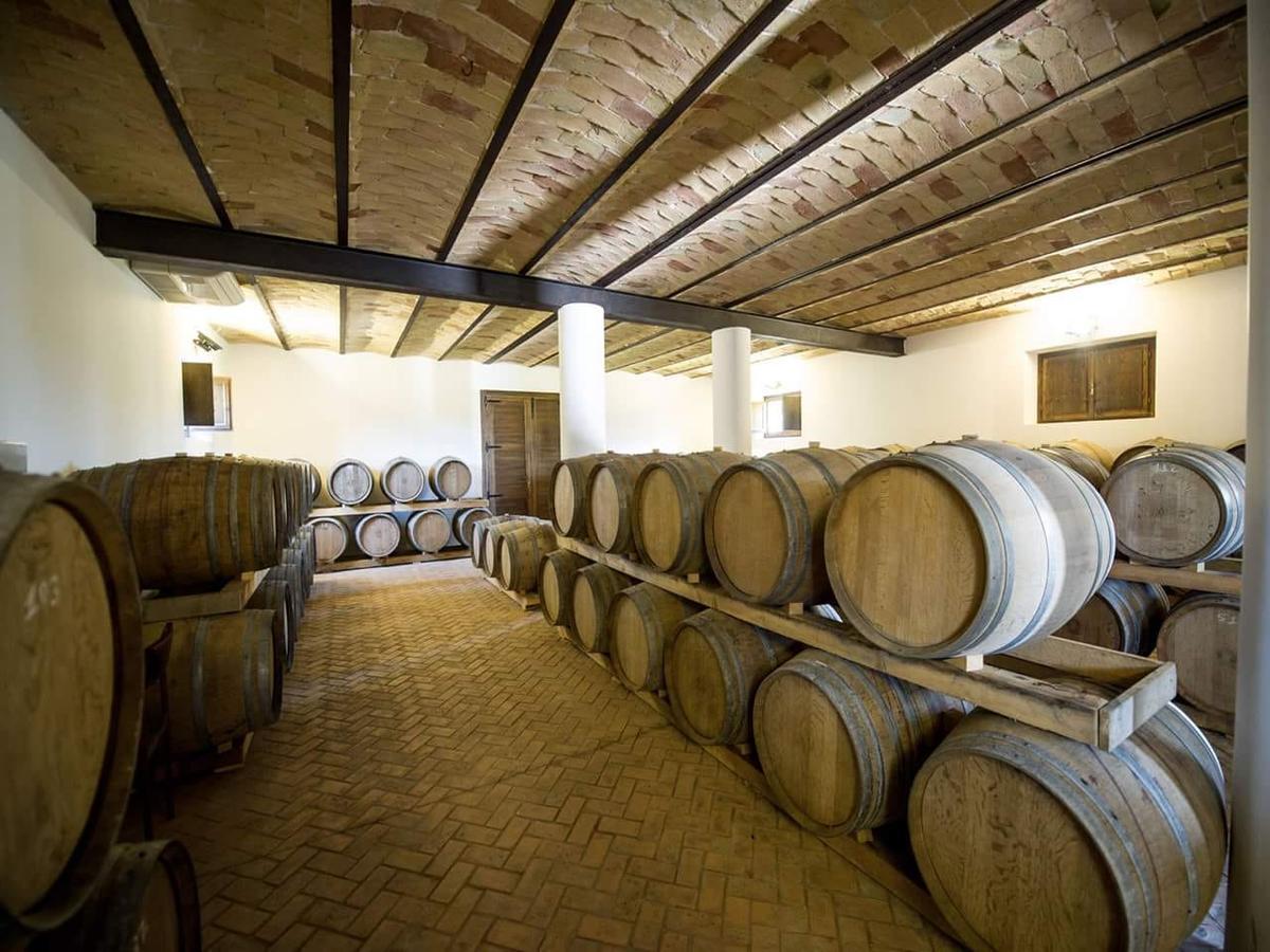 Masseria Del Vino Loreto Aprutino Dış mekan fotoğraf