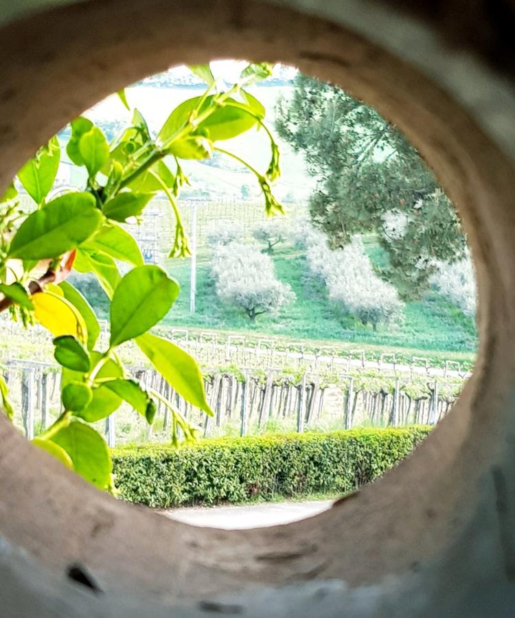 Masseria Del Vino Loreto Aprutino Dış mekan fotoğraf