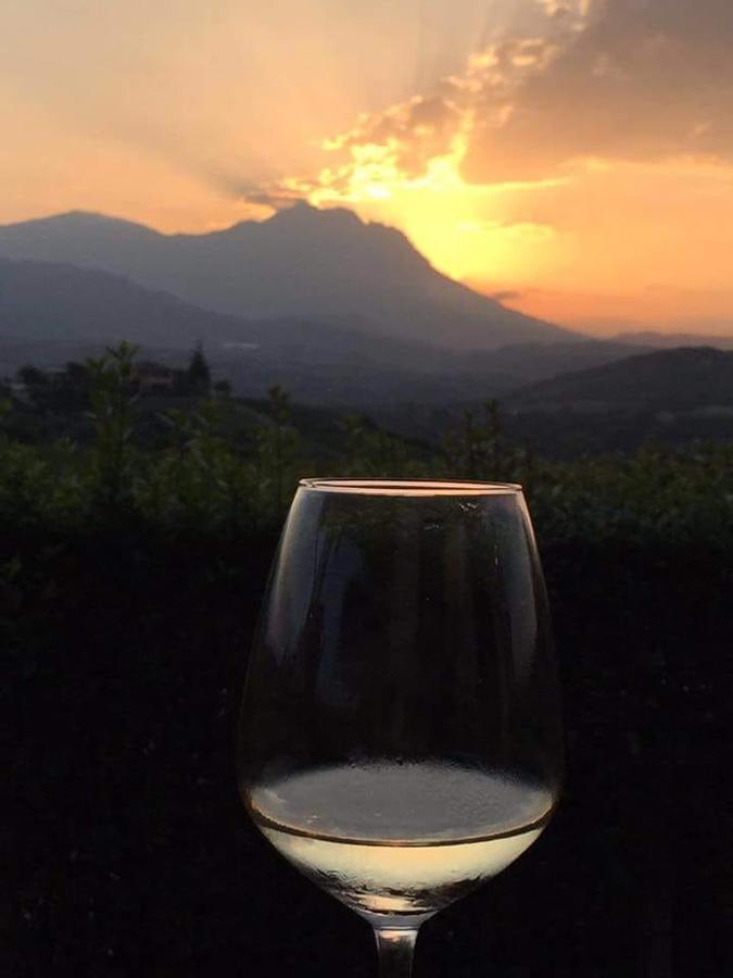 Masseria Del Vino Loreto Aprutino Dış mekan fotoğraf