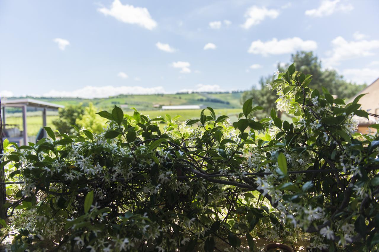 Masseria Del Vino Loreto Aprutino Dış mekan fotoğraf