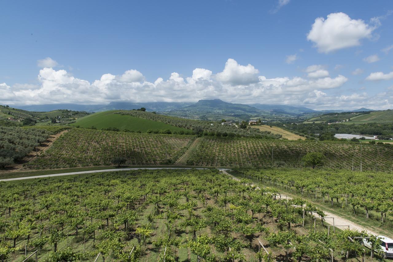 Masseria Del Vino Loreto Aprutino Dış mekan fotoğraf